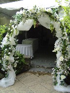 Wedding Arches by Toronto Wedding Florist